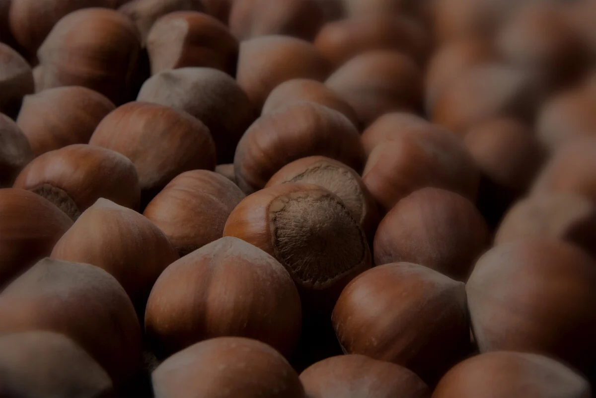 nocciole intere