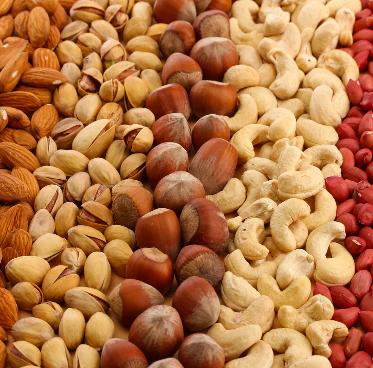 mix frutta secca, mandorla pistacchi, nocciole, anacardi e noccioline