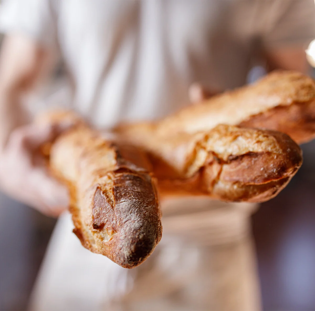 filoni di baguettes surgelati